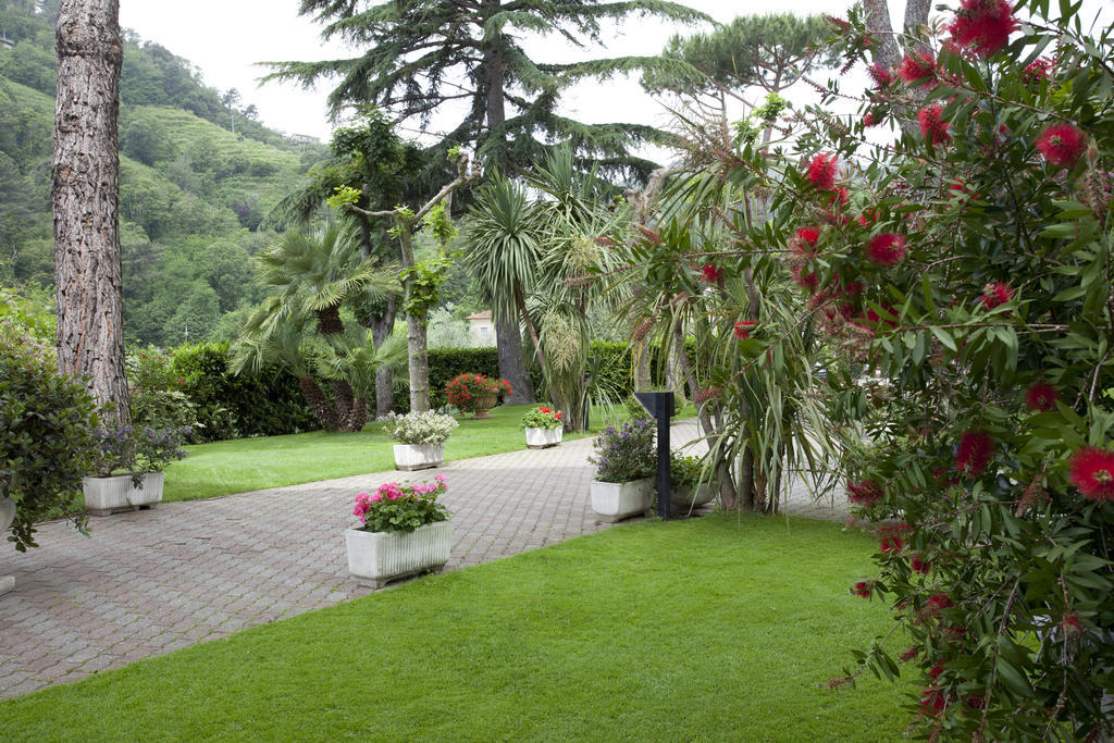 Grappolo D'Oro Hotel Pietrasanta Buitenkant foto